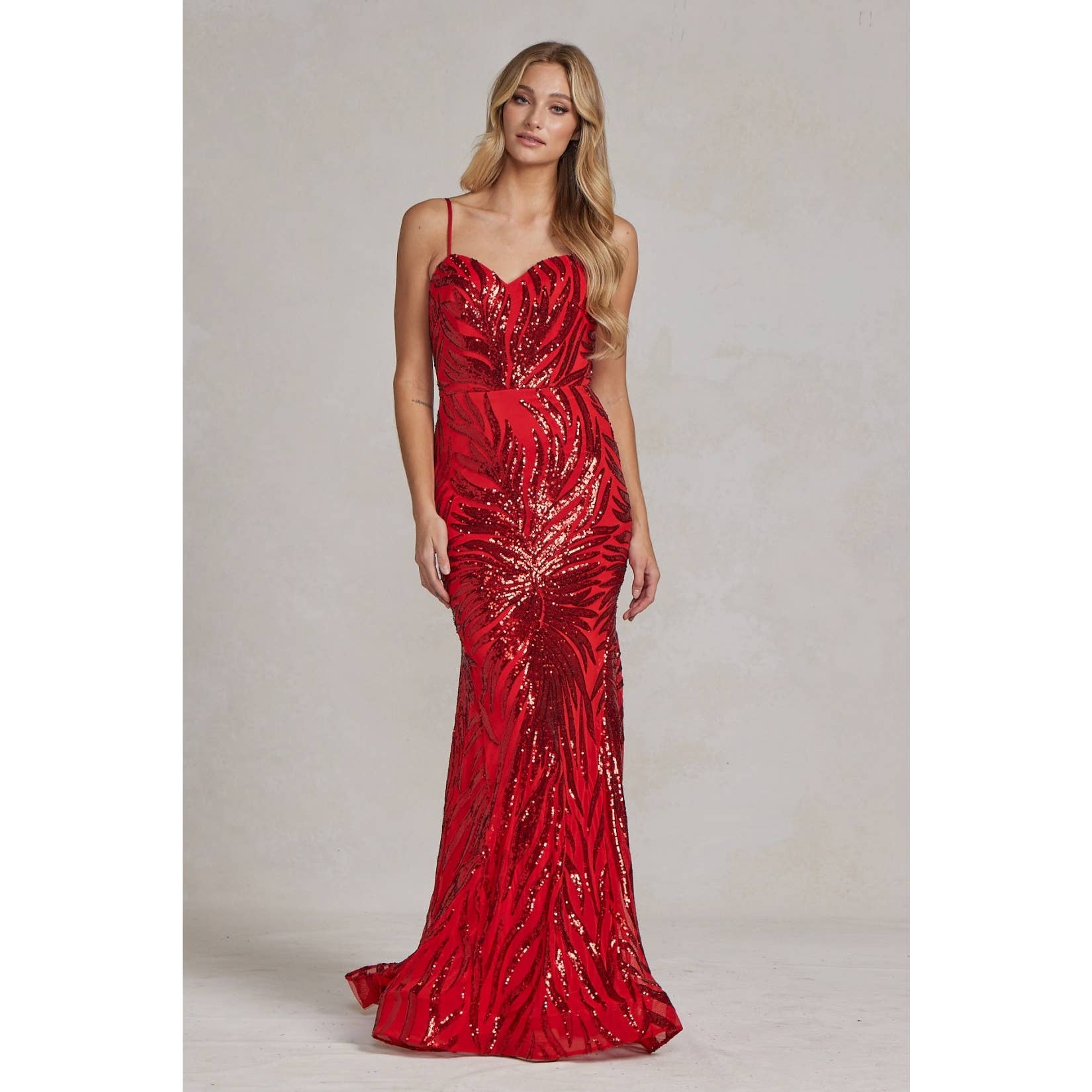 Goddess of the Night Inspired Gown R1072