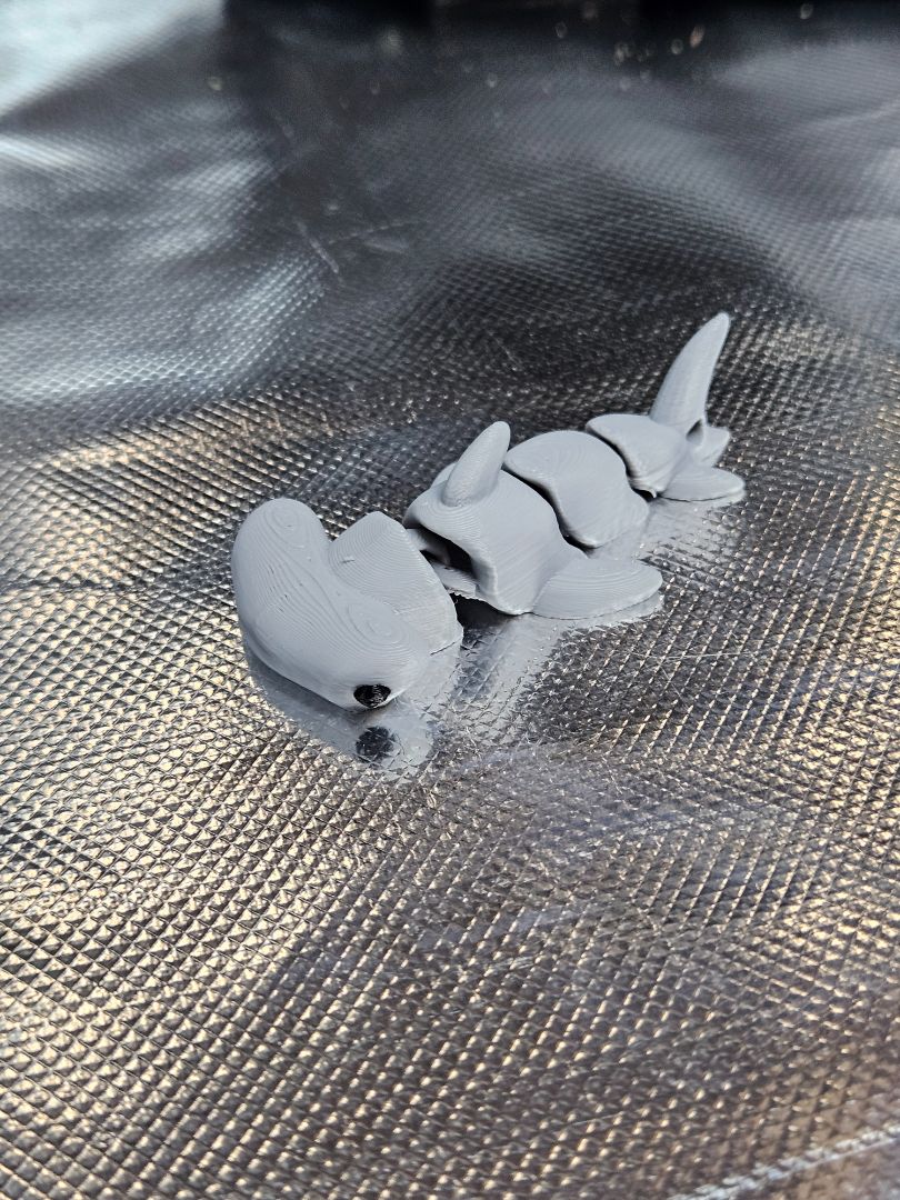 Little Hammer Head Shark
