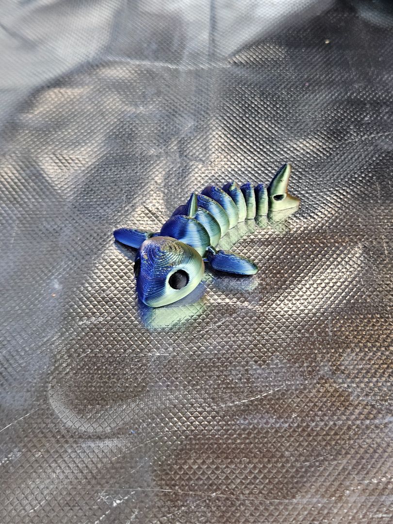 Little Tiny Shark