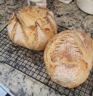 Artisan Sourdough Loaf