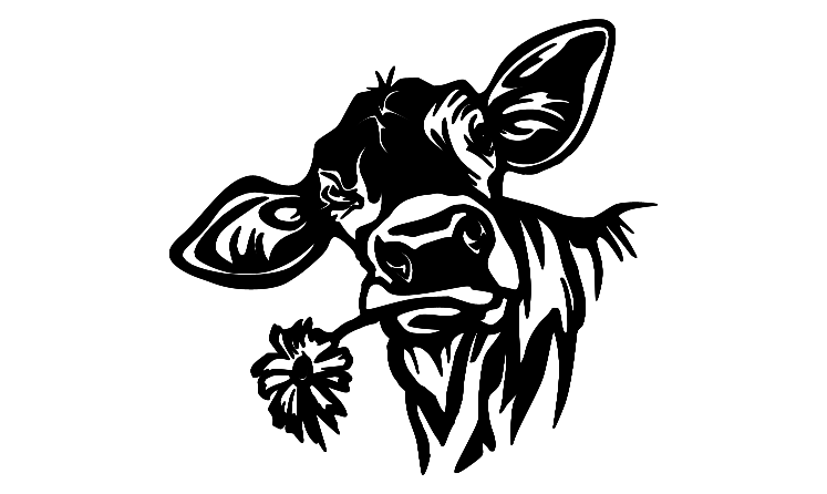 Daisy Cow