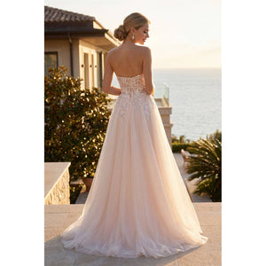 MESH STRAPLESS GOWN WITH SHEER EMBROIDERED LACE WAIST