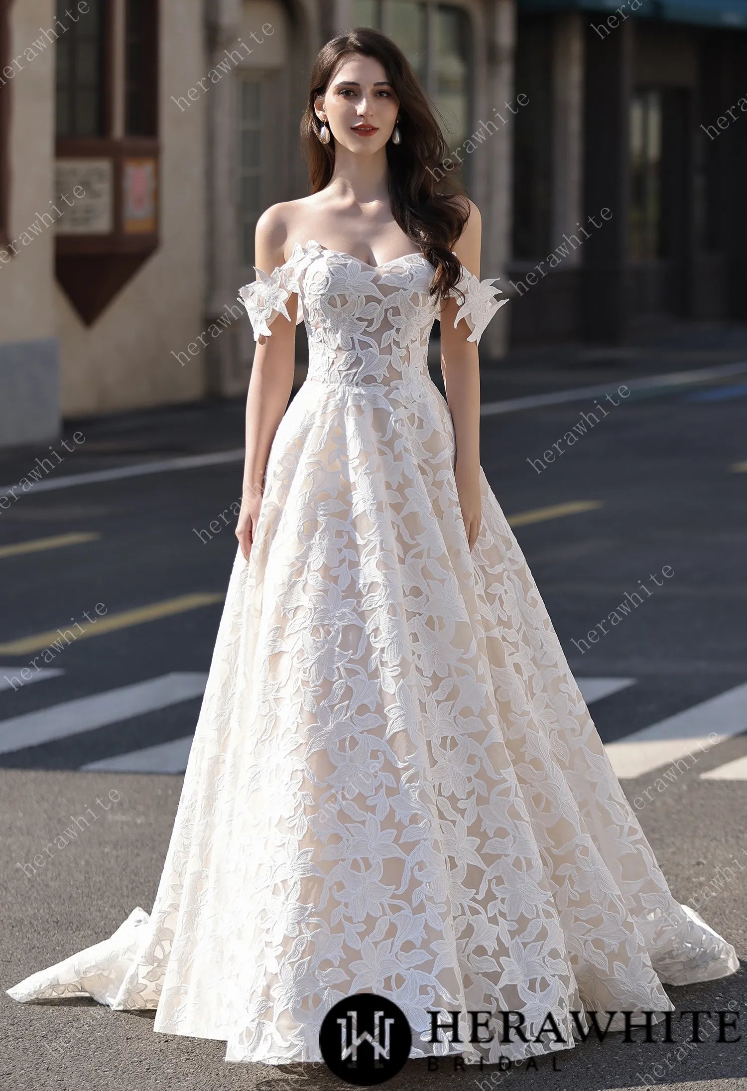 Romantic Off-the-Shoulder  Princess Dress In Floral Lace HW3824