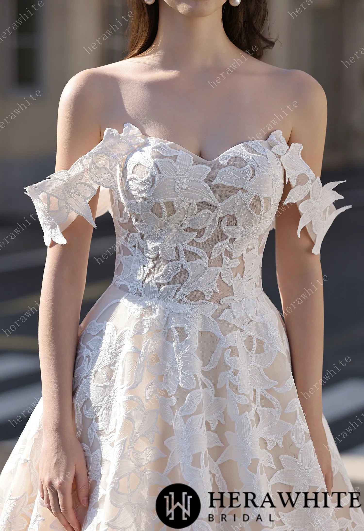 Romantic Off-the-Shoulder  Princess Dress In Floral Lace HW3824