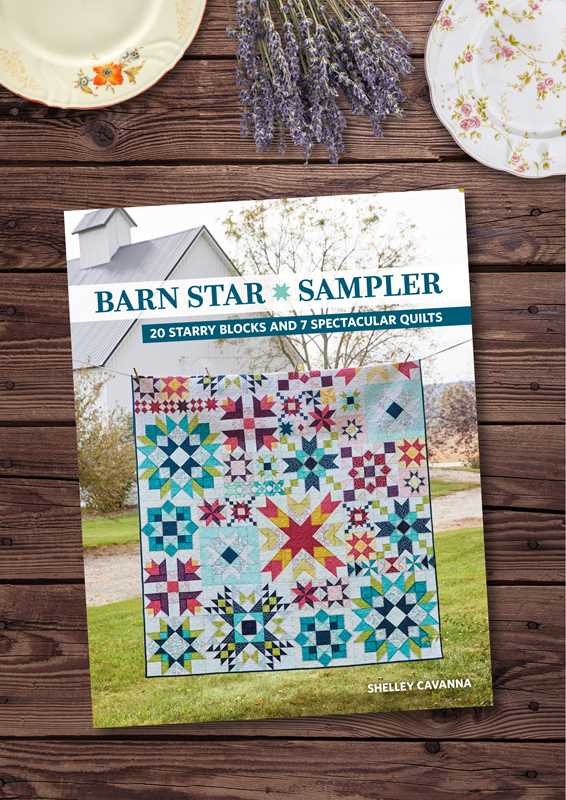 Barn Star Sampler by Shelley Cavanna