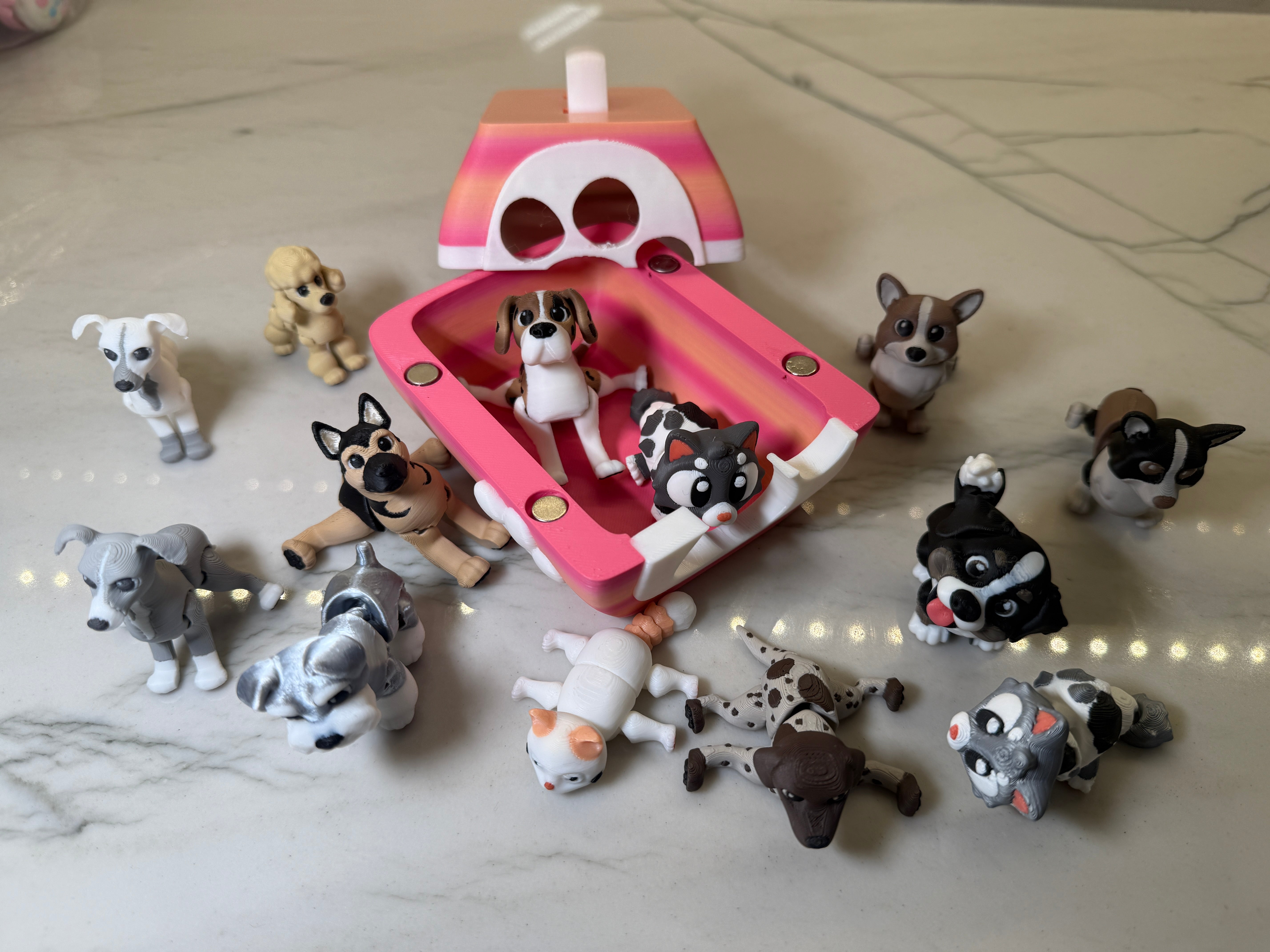 Pet Crate with Pet