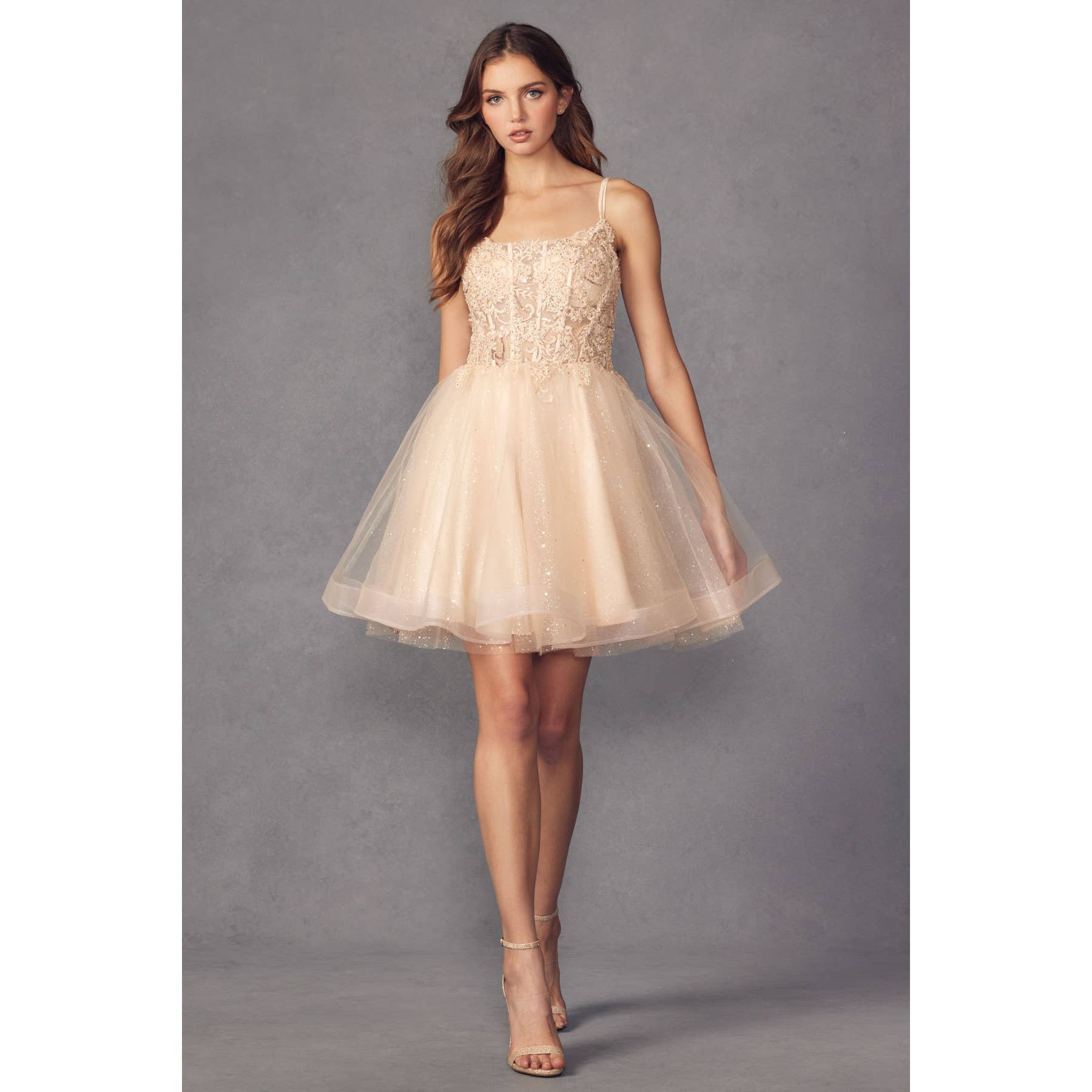 Embroidered Bodice Glitter Tulle A-Line Dress 883