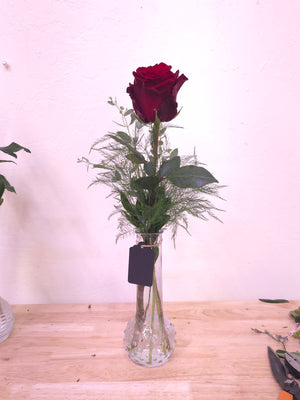 Single rose