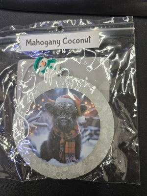 Mahogany Coconut Freshies