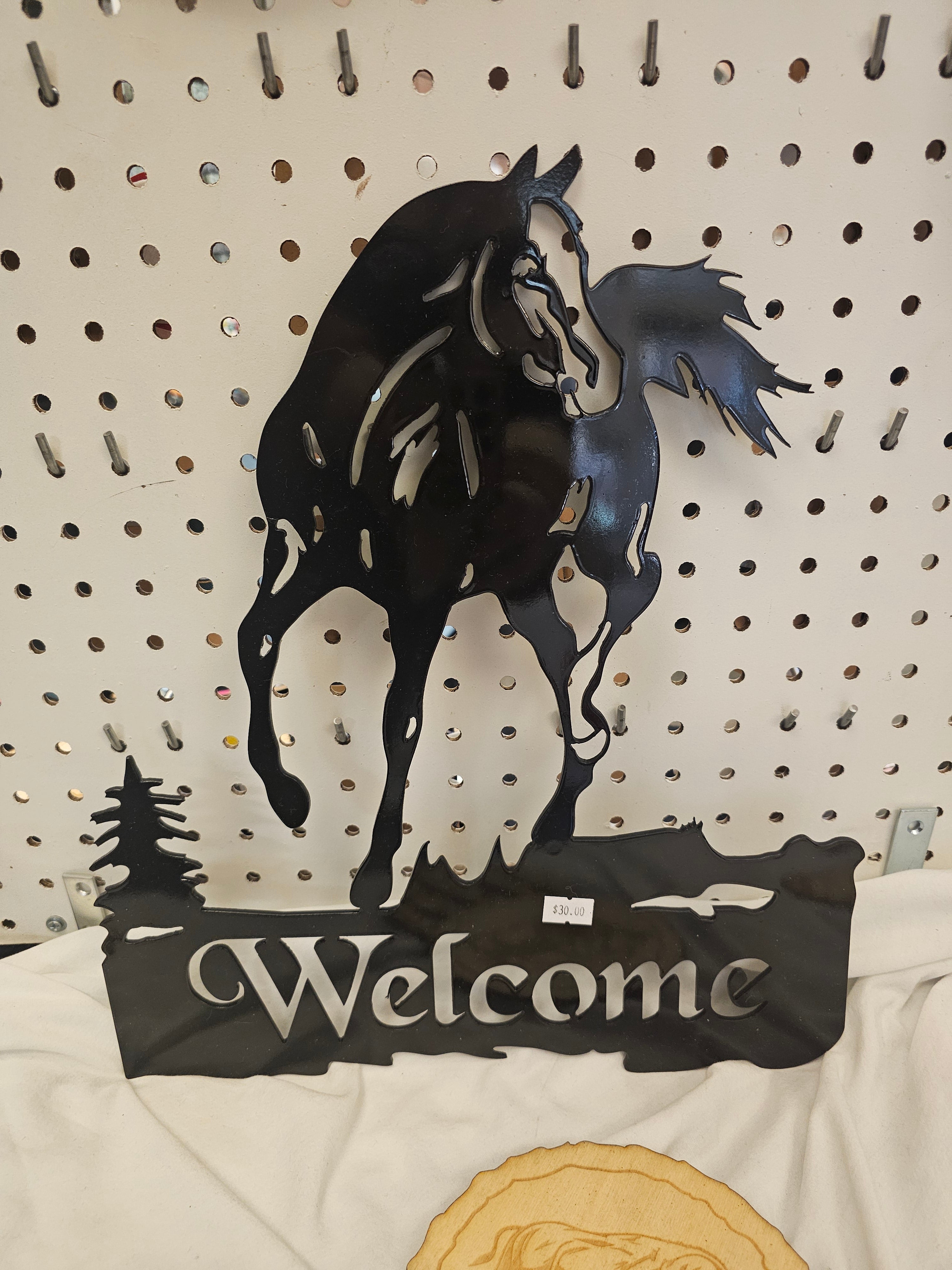 METAL Stallion Welcome